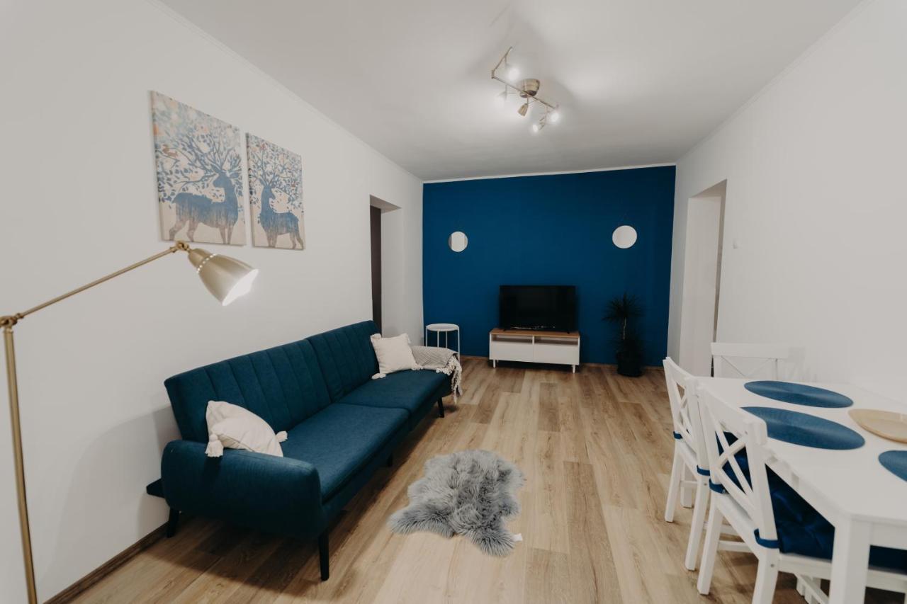 Apartamentul Albastru Ватра Дорней Екстериор снимка
