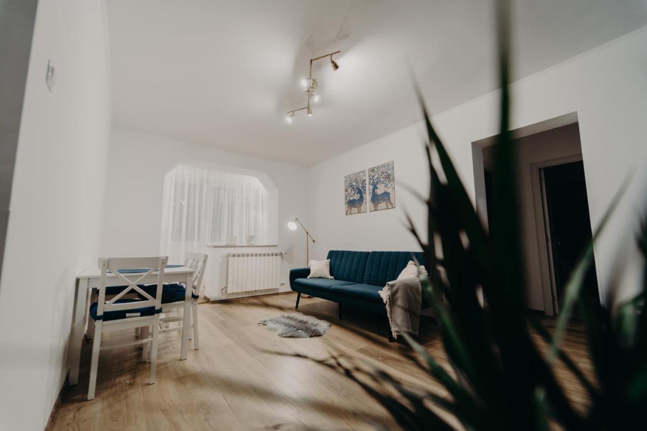 Apartamentul Albastru Ватра Дорней Екстериор снимка