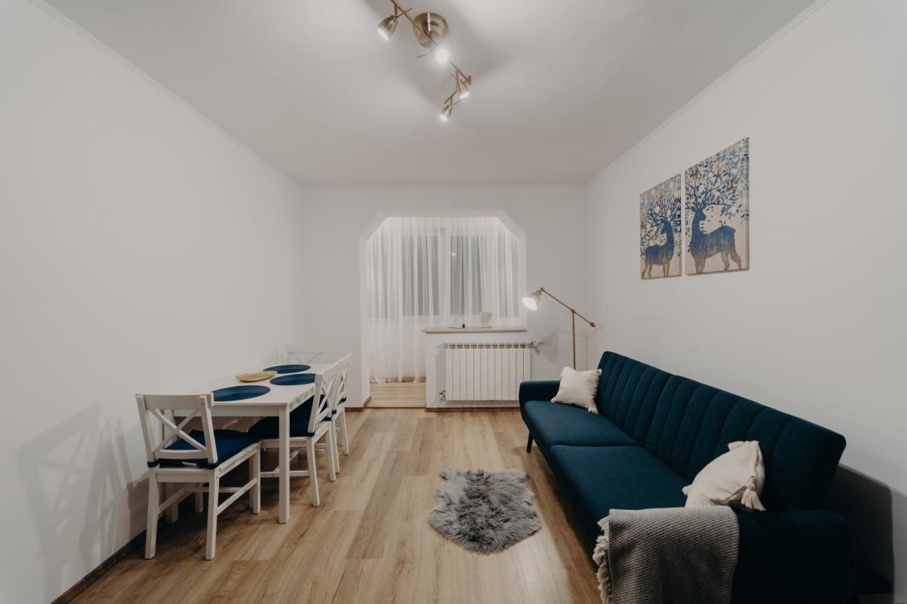 Apartamentul Albastru Ватра Дорней Екстериор снимка